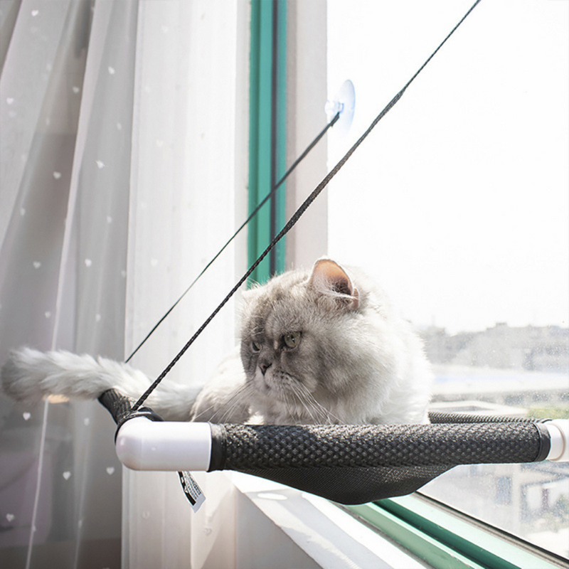 Caminha de Janela Suspensa para Gatos