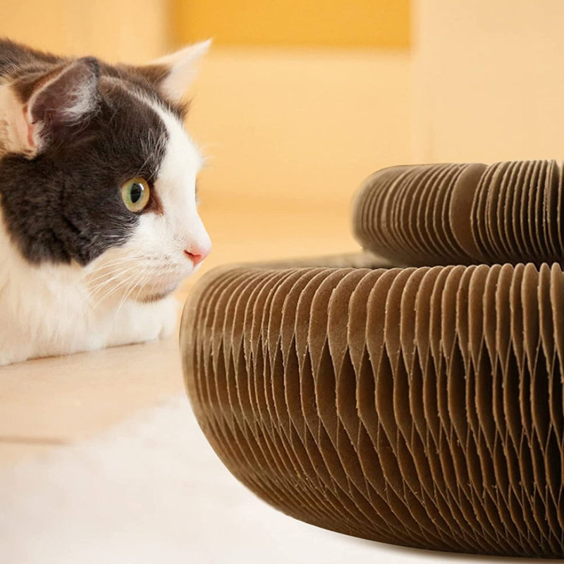 Brinquedo Arranhador Para Gato