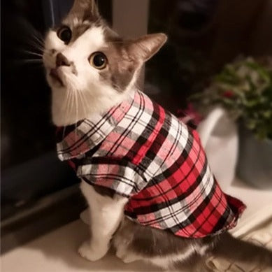 Camisa Xadrez Pet Estilo Britânico