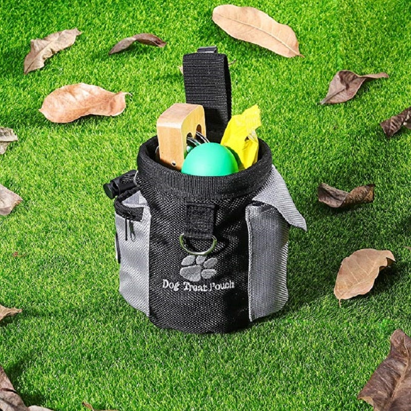 Bolsa de Petiscos e Treinamento para Cães