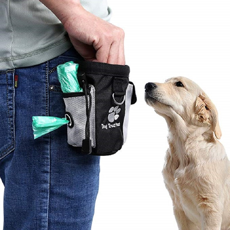 Bolsa de Petiscos e Treinamento para Cães