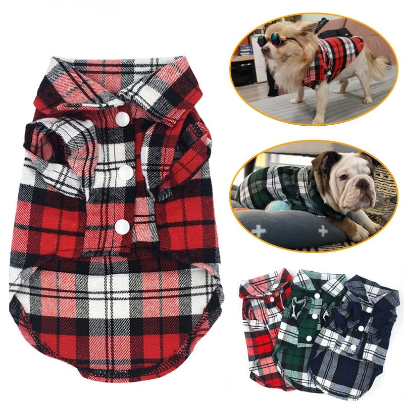 Camisa Xadrez Pet Estilo Britânico