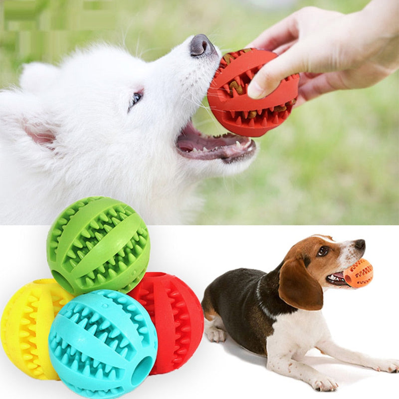Bolinha Para Cachorro Limpa Dente