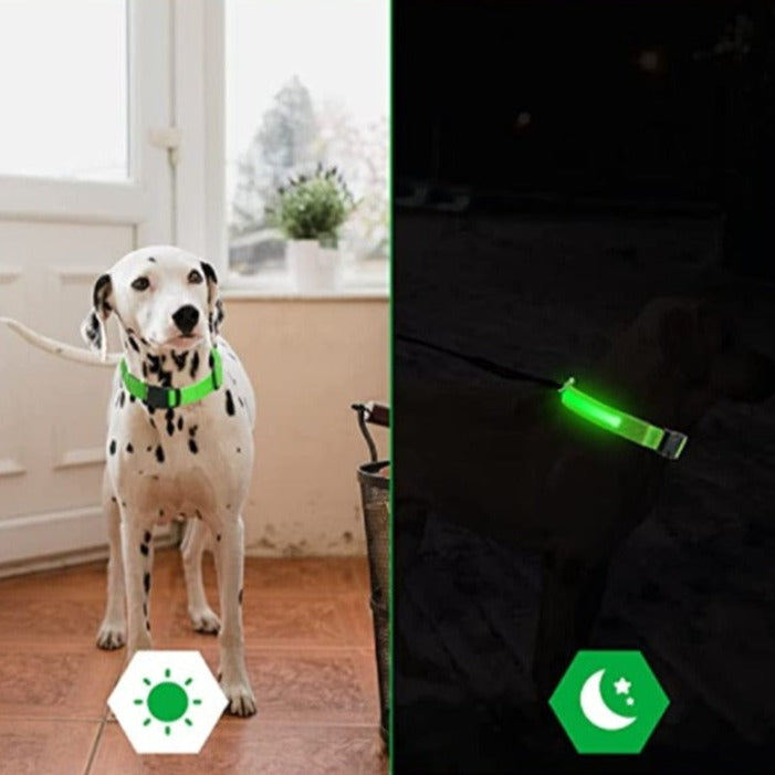 Coleira Para Cachorro Com Led