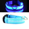 Coleira Para Cachorro Com Led