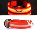Coleira Para Cachorro Com Led