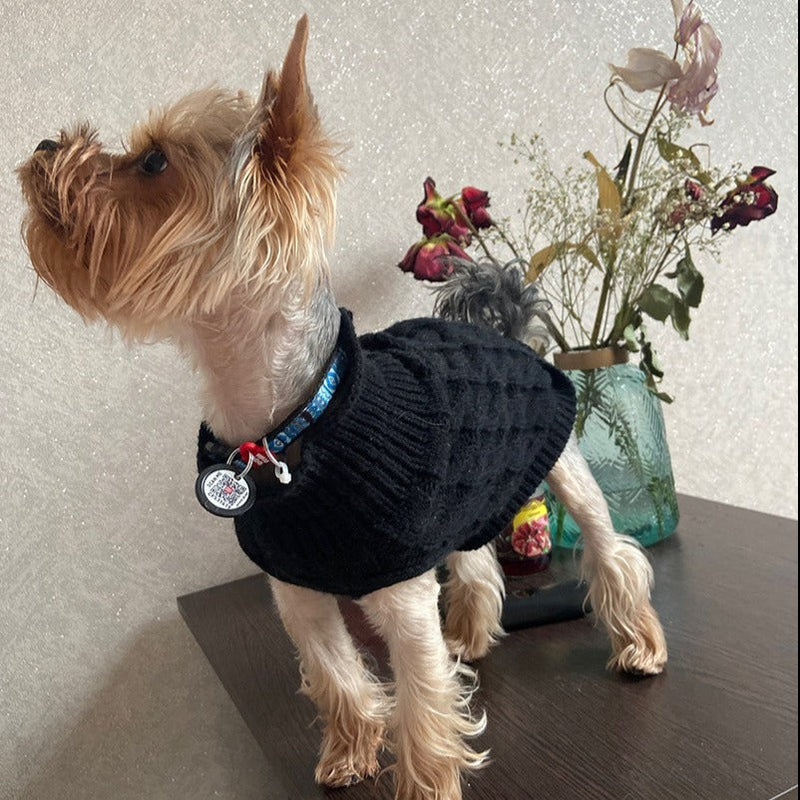 Suéter de Inverno Gola Alta para Pets