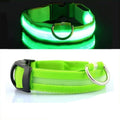 Coleira Para Cachorro Com Led