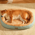 Cama Para Pet Fofinha