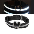 Coleira Para Cachorro Com Led