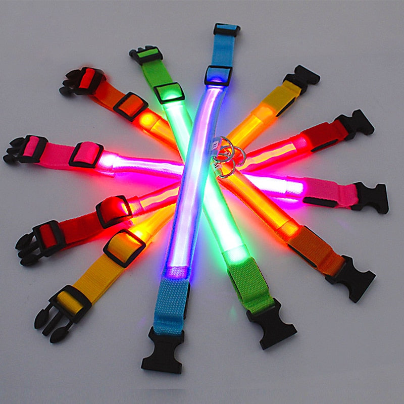 Coleira Para Cachorro Com Led