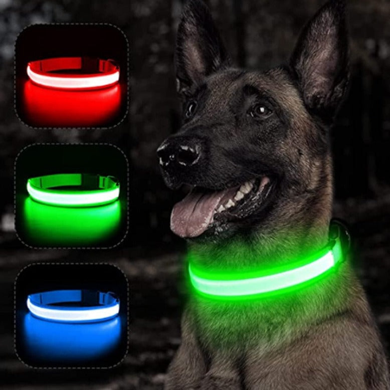 Coleira Para Cachorro Com Led