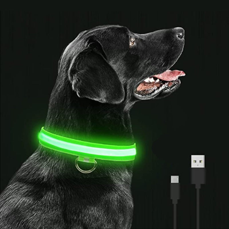 Coleira Para Cachorro Com Led