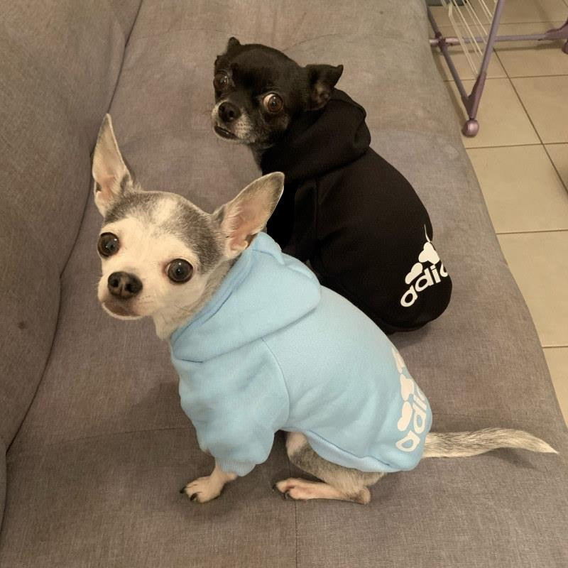 Agasalho AdiDog com Capuz para Cães