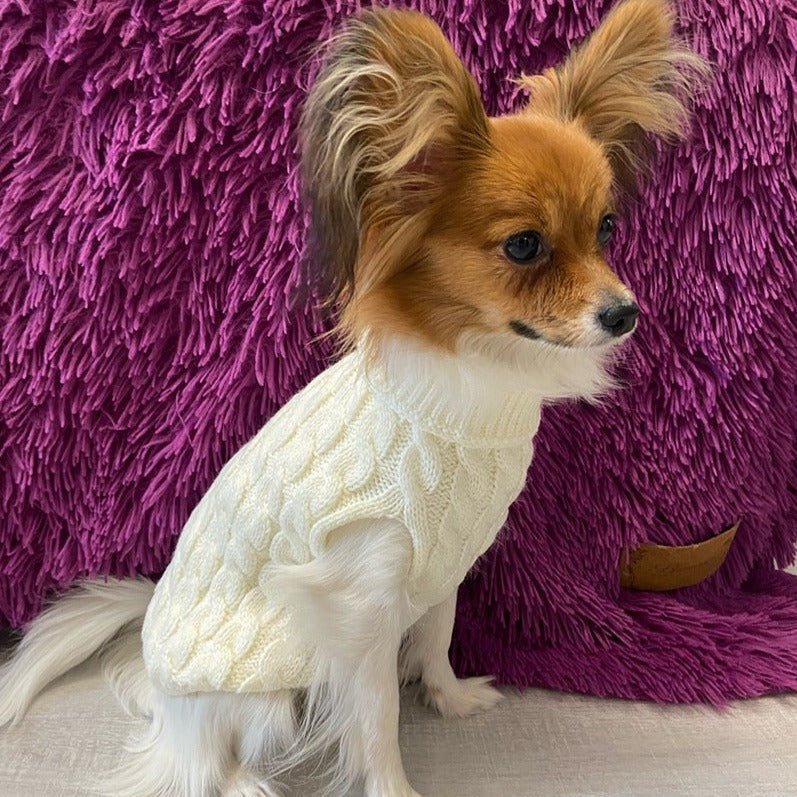 Suéter de Inverno Gola Alta para Pets