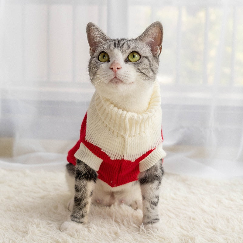 Suéter de Inverno em Tricô para Gatos