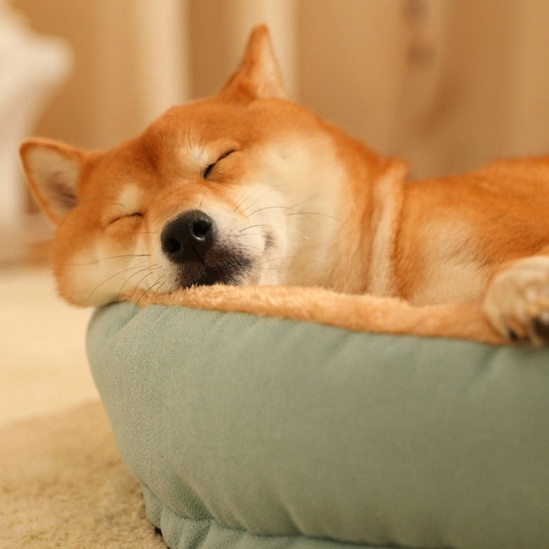 Cama Para Pet Fofinha