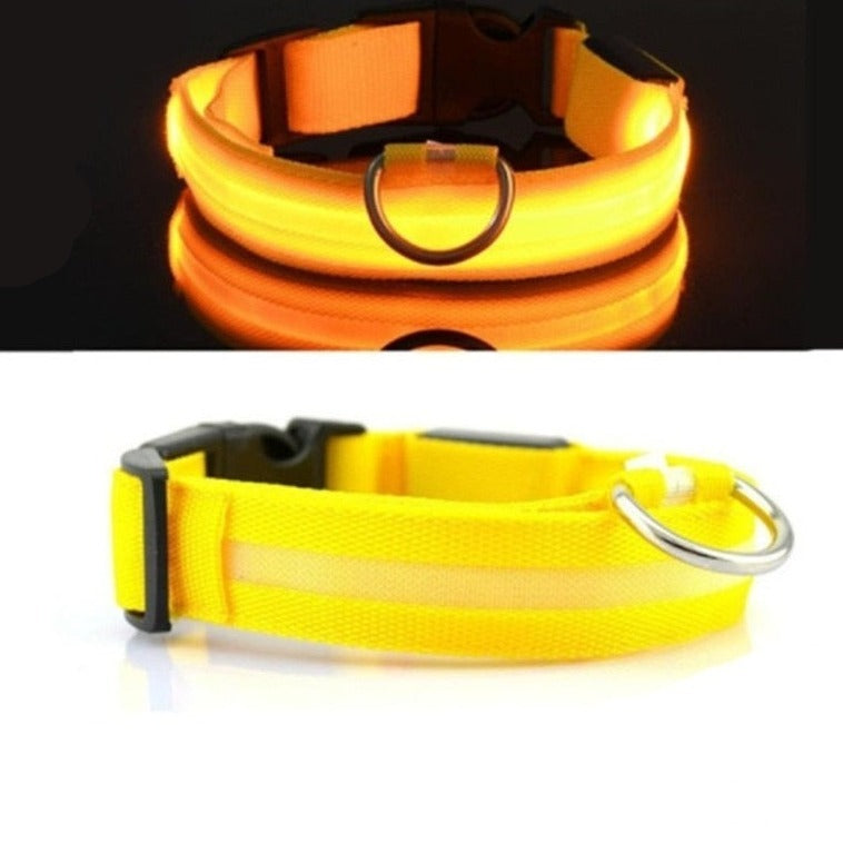 Coleira Para Cachorro Com Led