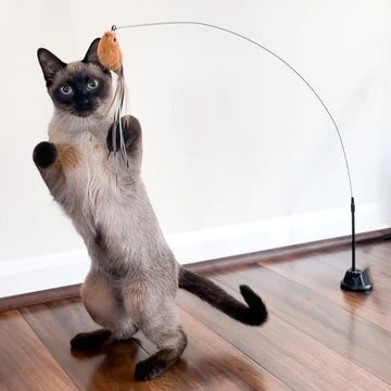 Brinquedo interativo para gatos simulação de pássaros